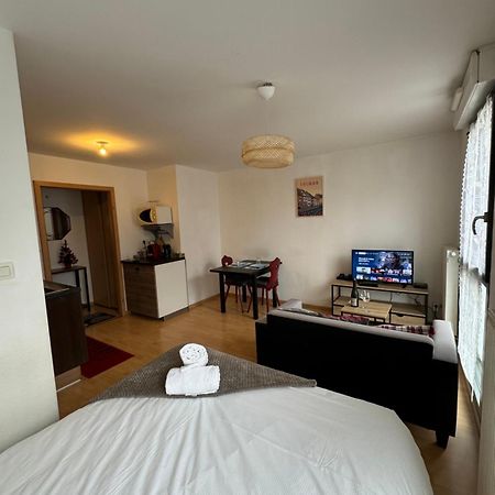 Le "Petit Colmarien" A 1Mn Du Centre Apartment Екстериор снимка