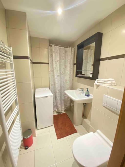 Le "Petit Colmarien" A 1Mn Du Centre Apartment Екстериор снимка