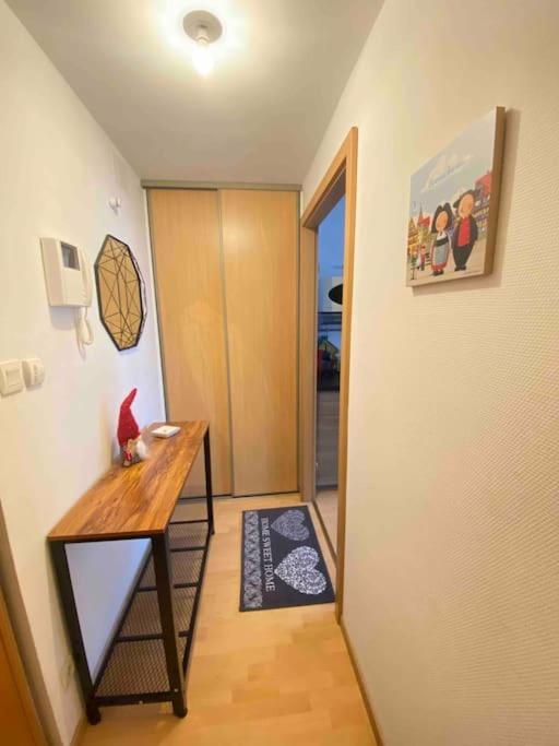 Le "Petit Colmarien" A 1Mn Du Centre Apartment Екстериор снимка