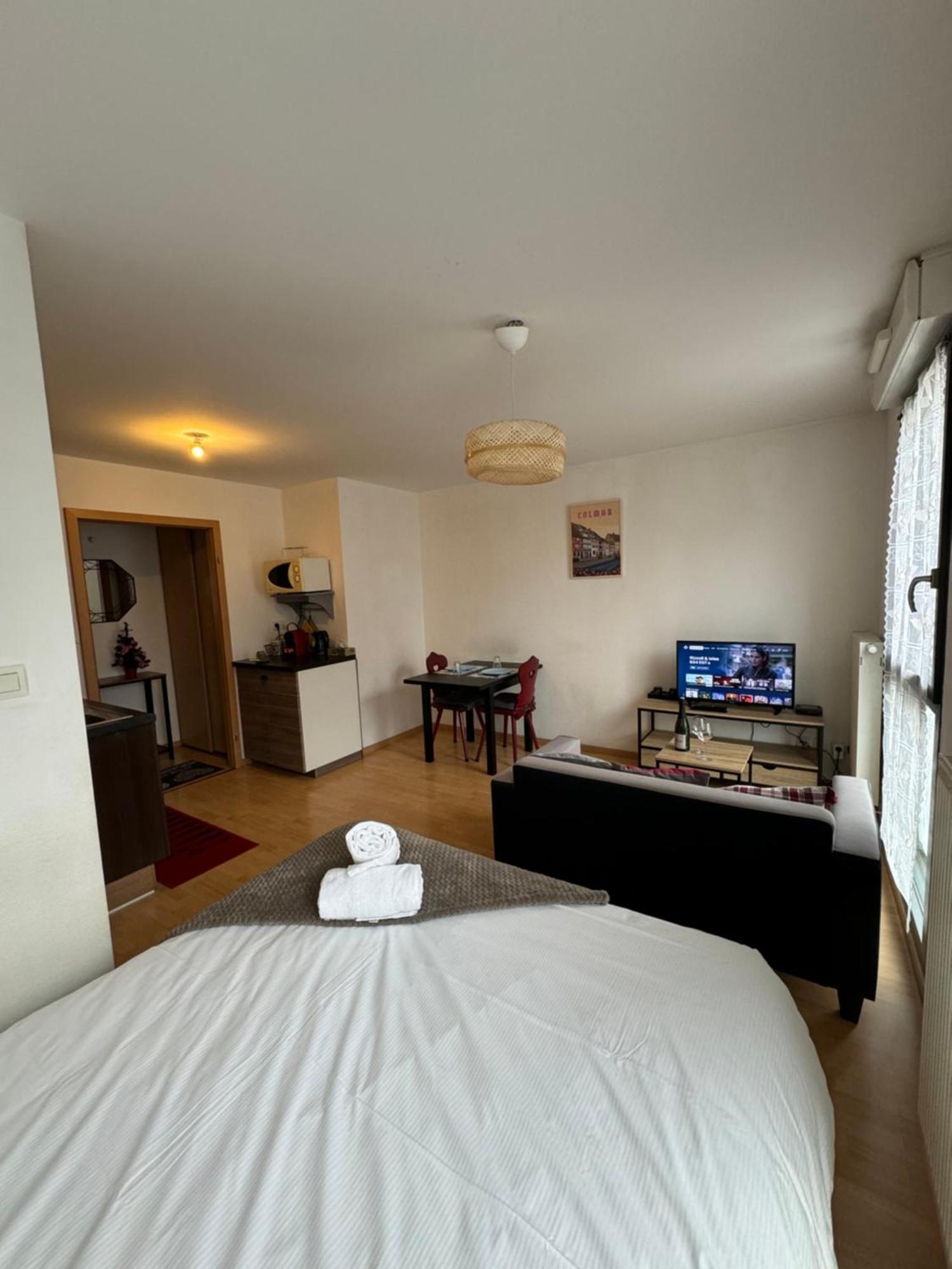 Le "Petit Colmarien" A 1Mn Du Centre Apartment Екстериор снимка