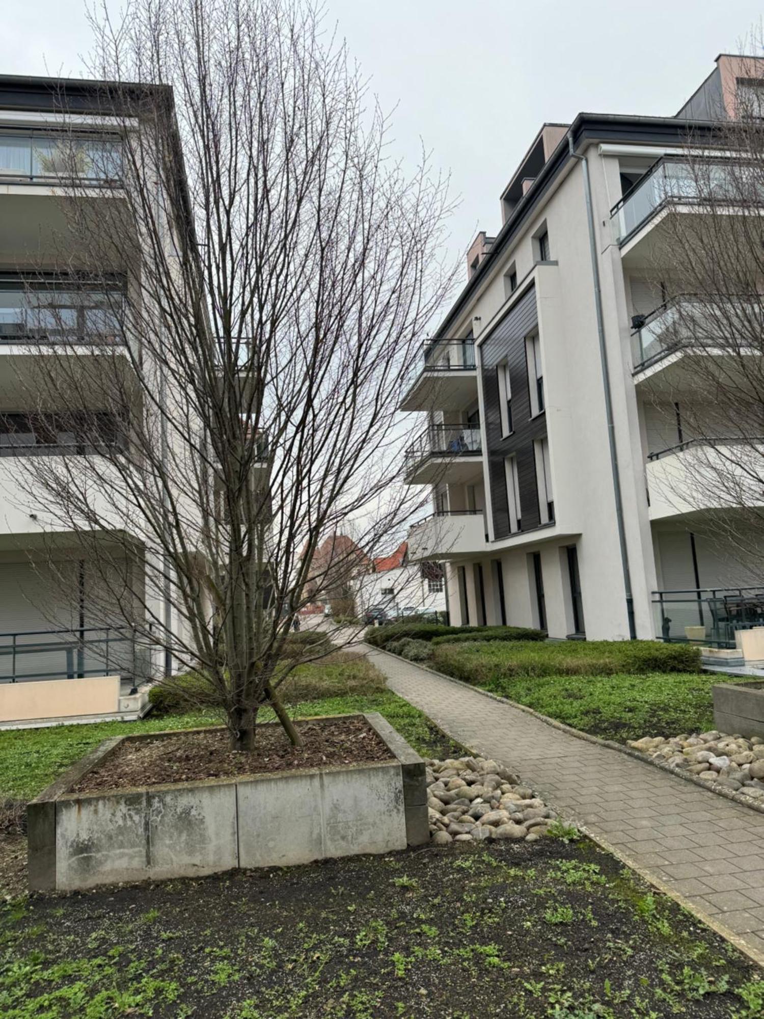 Le "Petit Colmarien" A 1Mn Du Centre Apartment Екстериор снимка